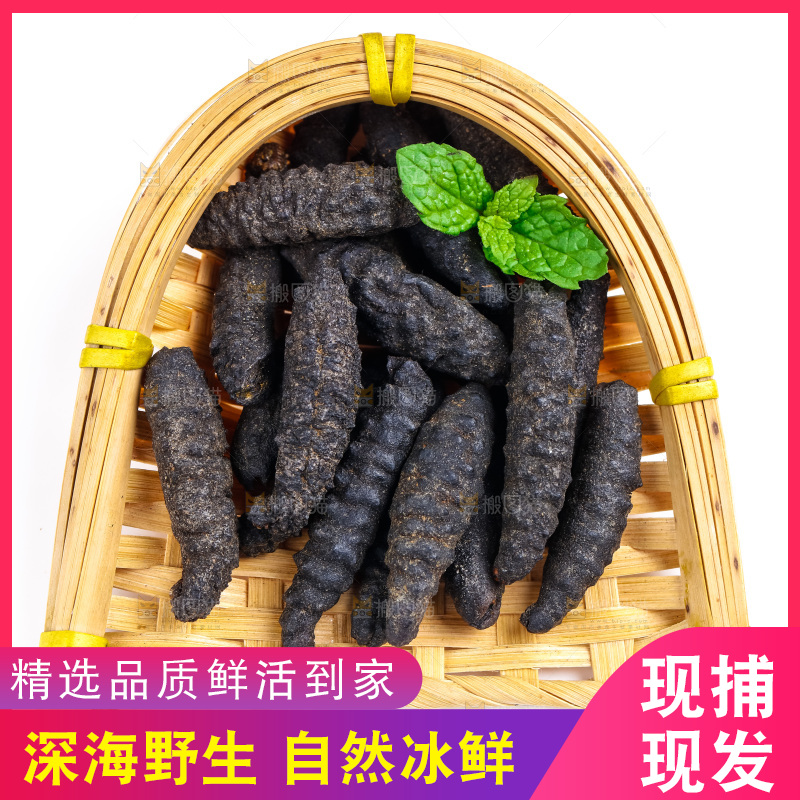 篮子里装着野生海参
