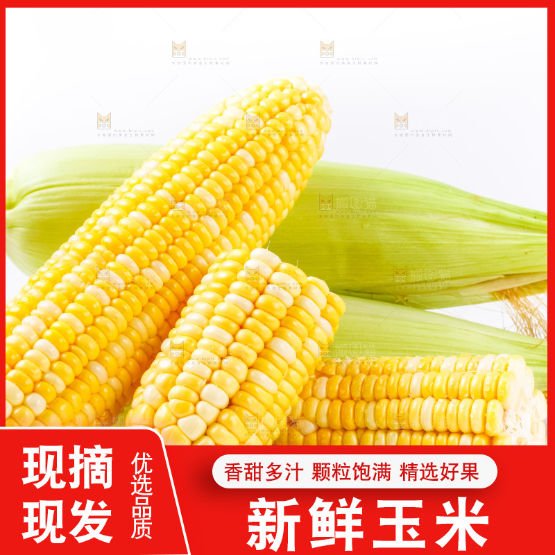 白底上摆放着玉米