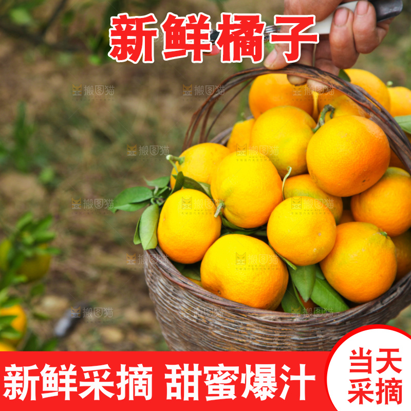 篮子里装着橘子