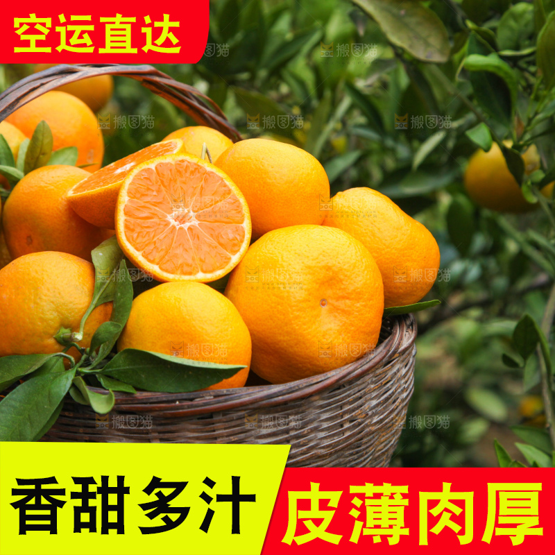 篮子里装着橘子