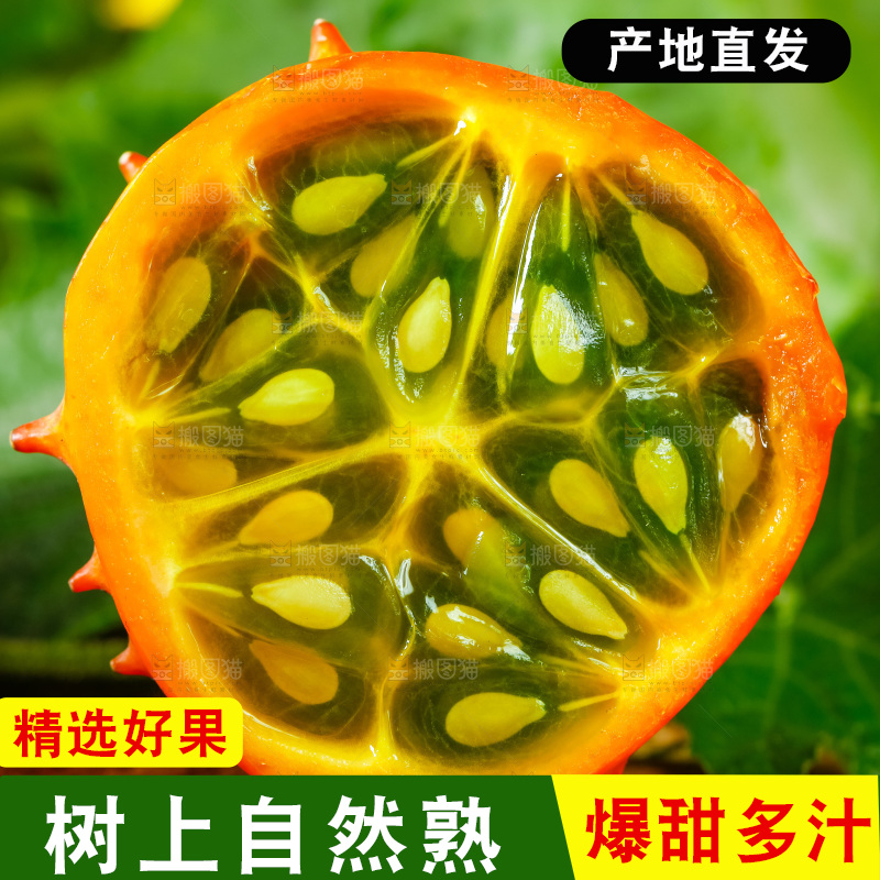 深底上摆放着海参果