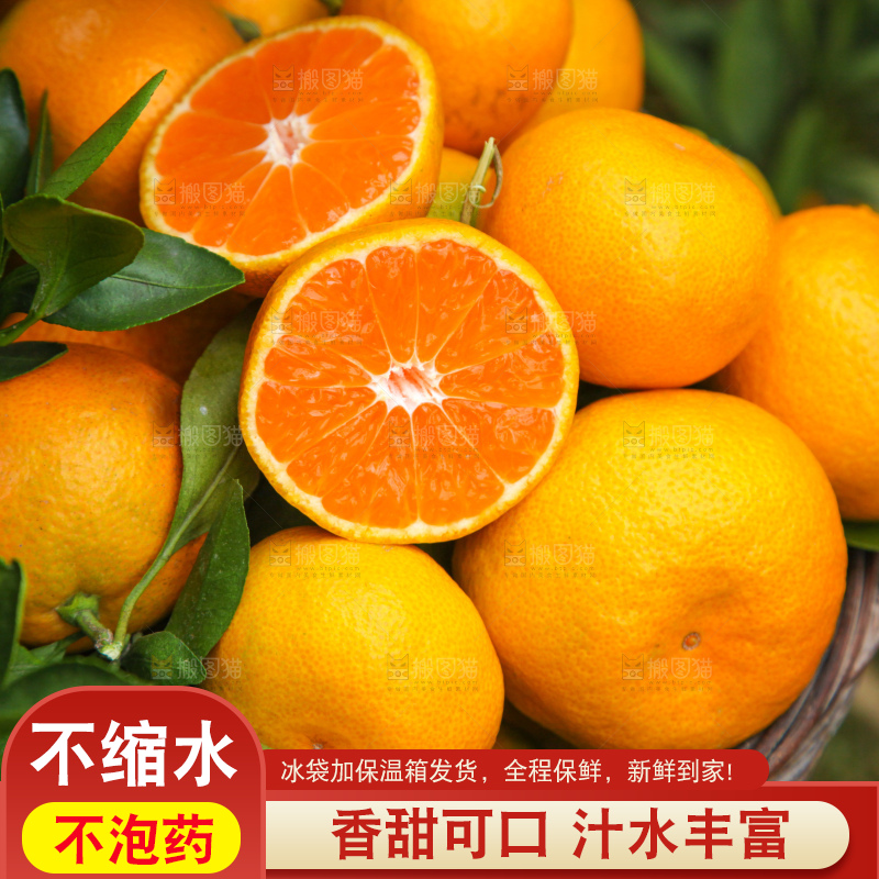 手里拿着一篮子椪柑