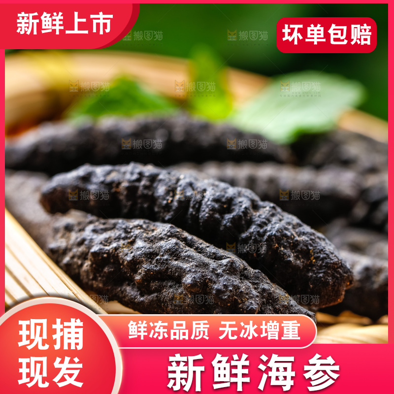 篮子里装着野生海参