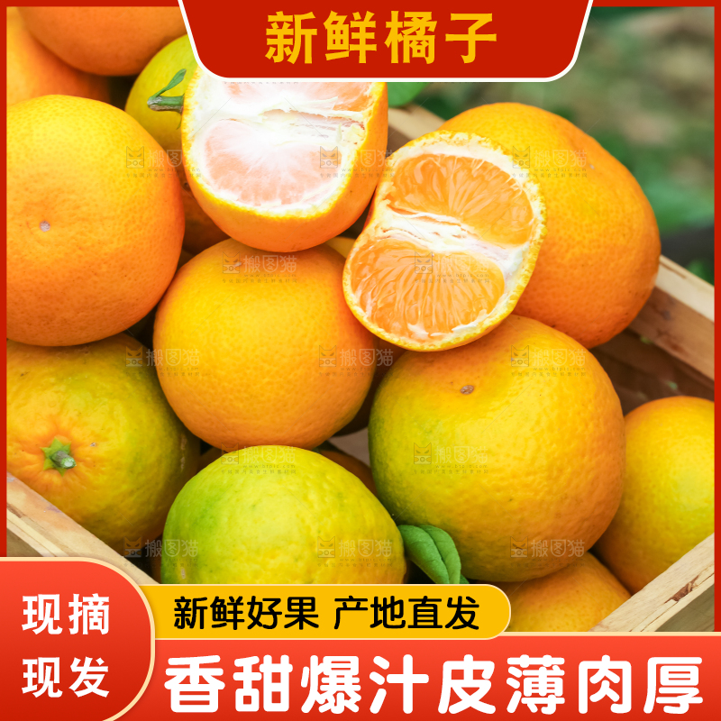 篮子里装着蜜橘