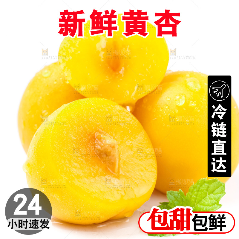 白底上放着大黄杏
