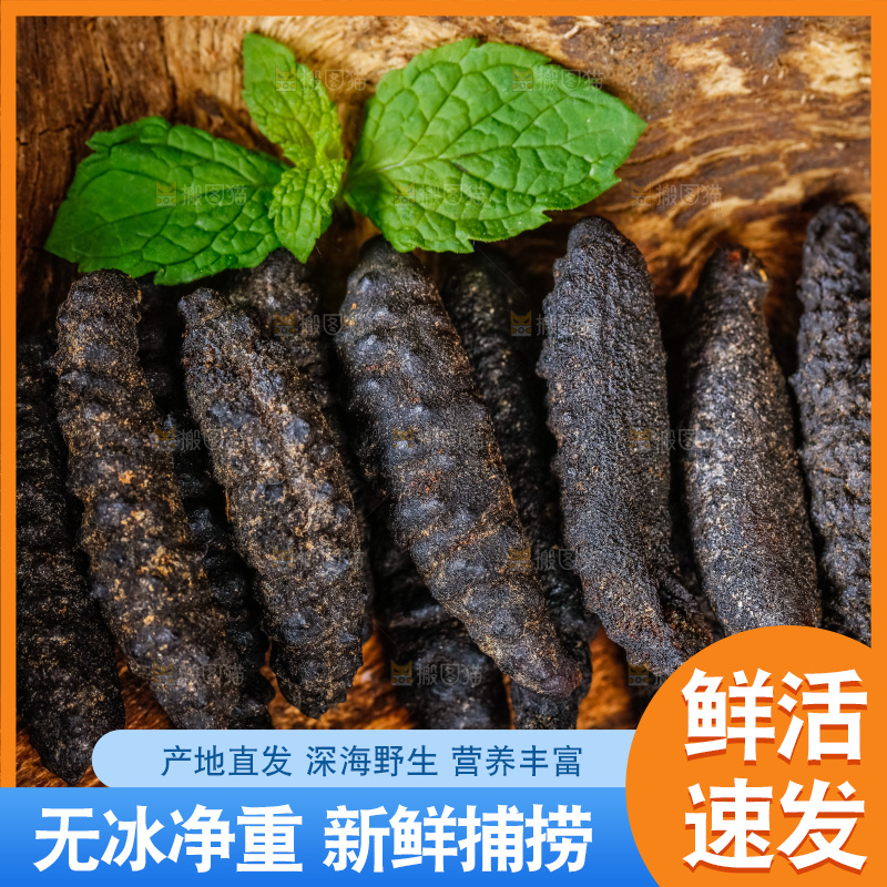木底上摆放着干海参
