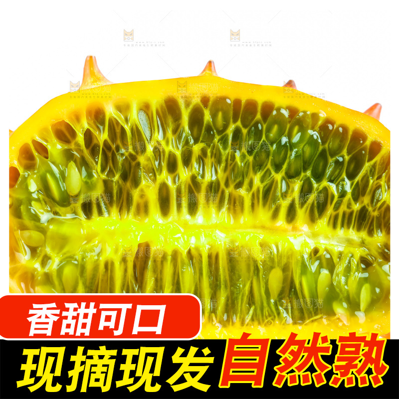 手里拿着海参果