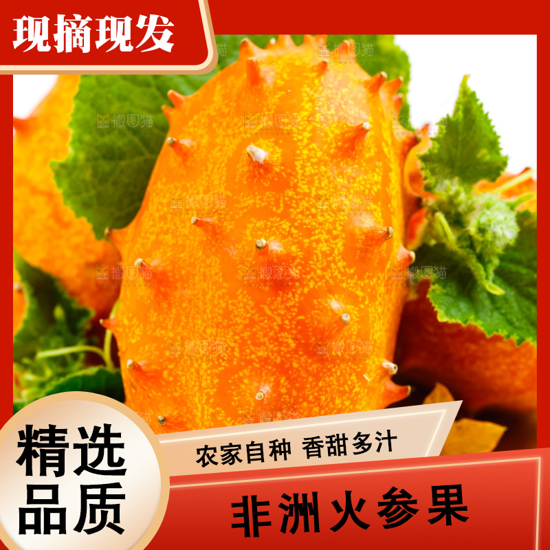 木板上放着刺角瓜