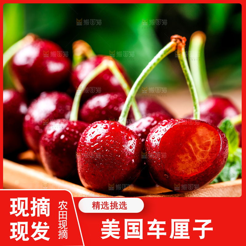 盘子里装着黑珍珠樱桃