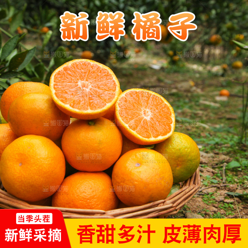 篮子里装着橘子