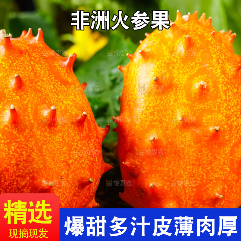 深底上摆放着海参果