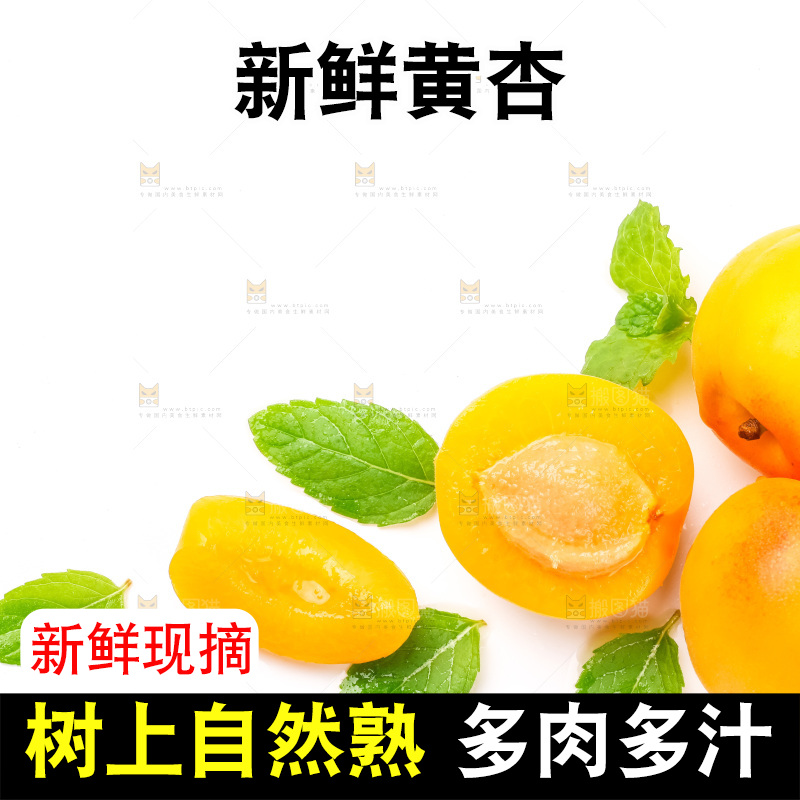白底上放着大黄杏