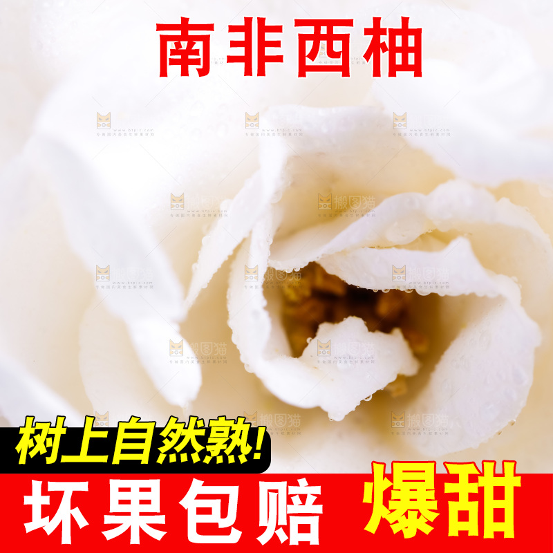 白底上放着一朵栀子花