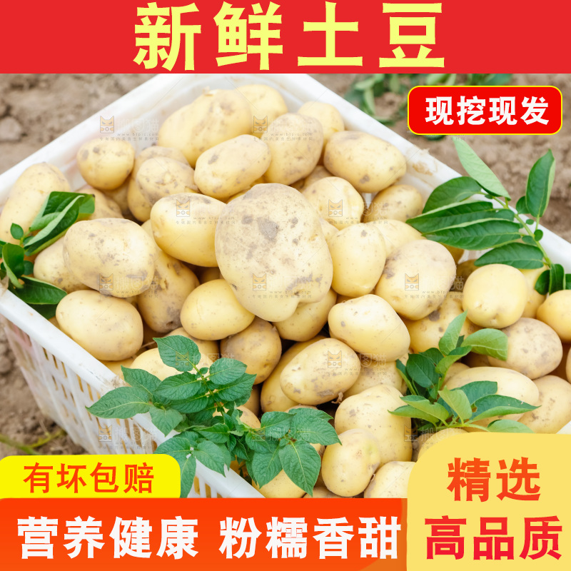 框子里装着黄心土豆