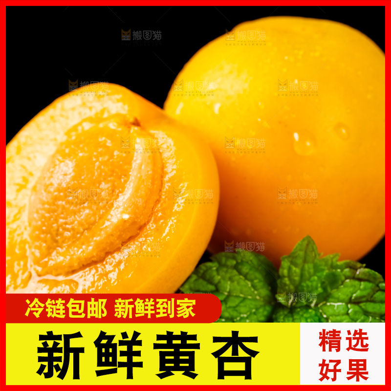 黑底上摆放着新鲜麦黄杏