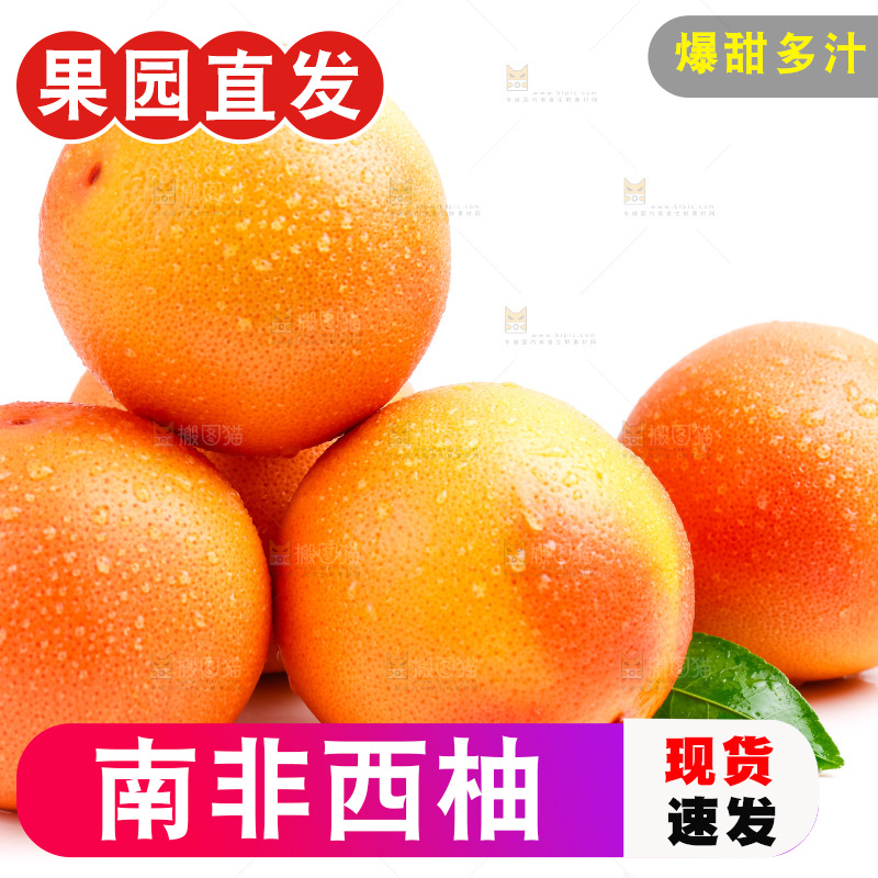 白底上摆放着西柚