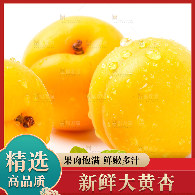 白底上摆放着麦黄杏