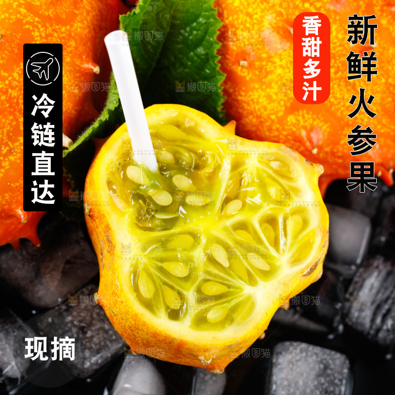 冰块上摆放着刺角瓜