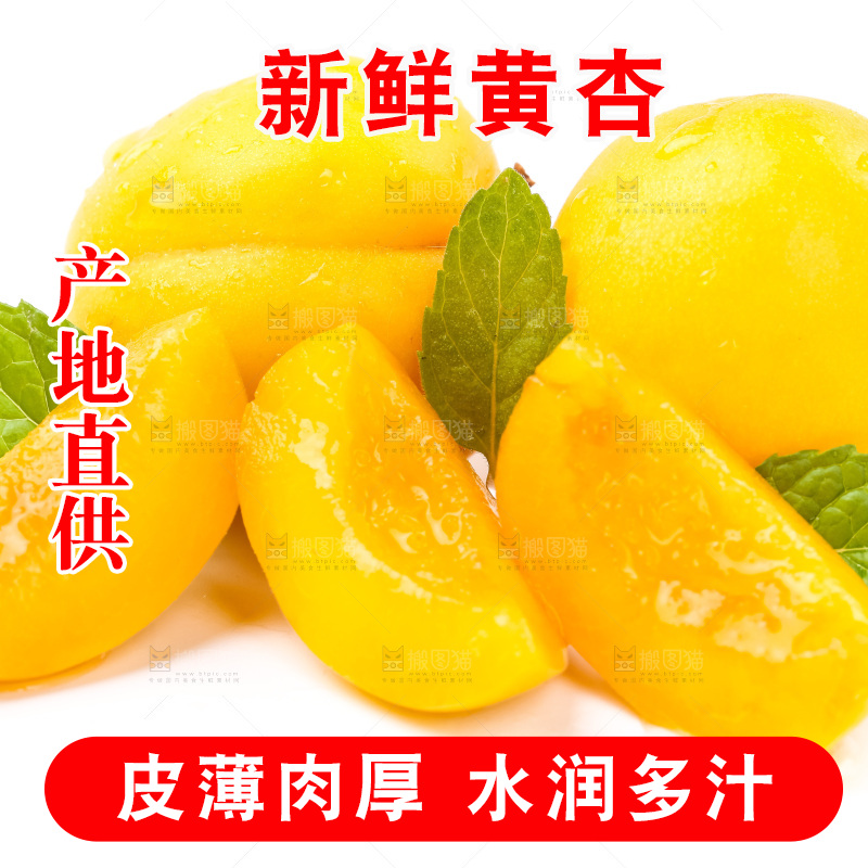 白底上放着大黄杏