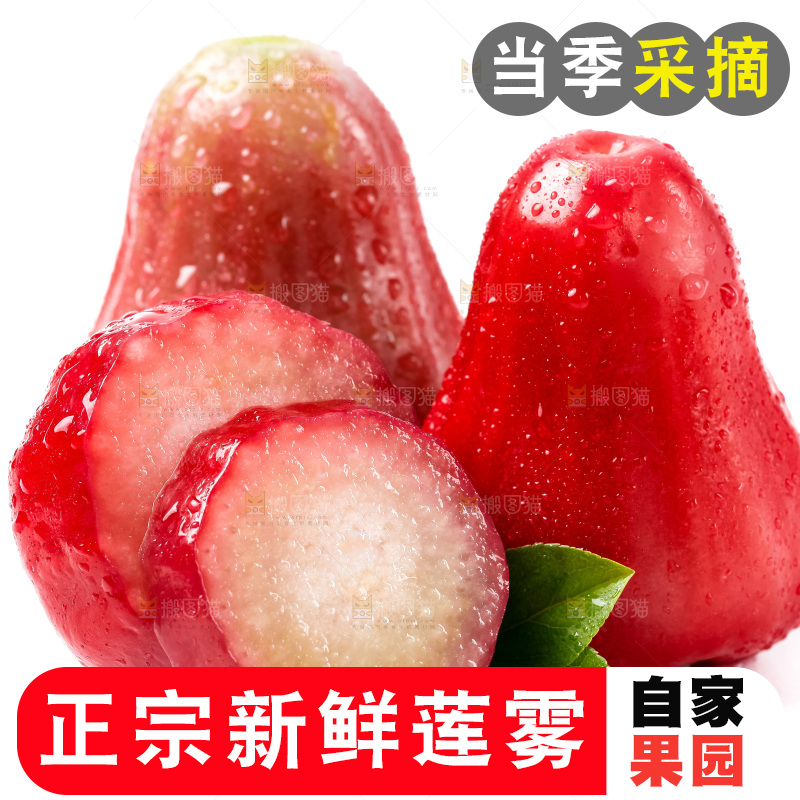 白底上摆放着海南莲雾