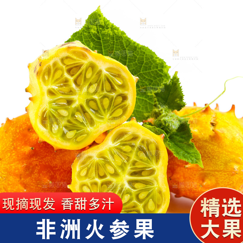 白底上摆放着海参果