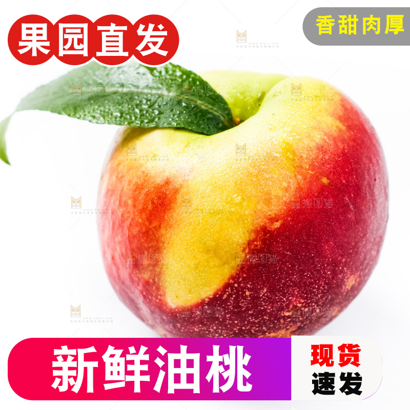 白底上摆放着油桃
