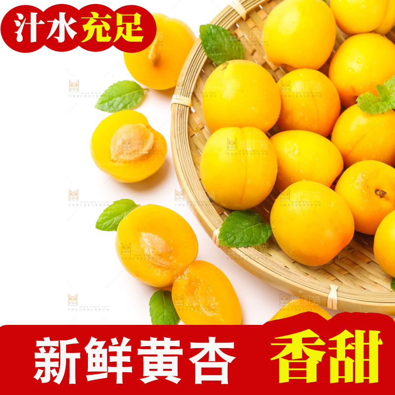 篮子里装着杏子