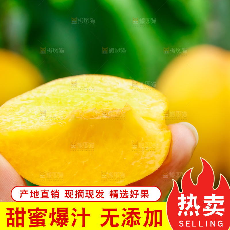 手里拿着黄肉毛桃