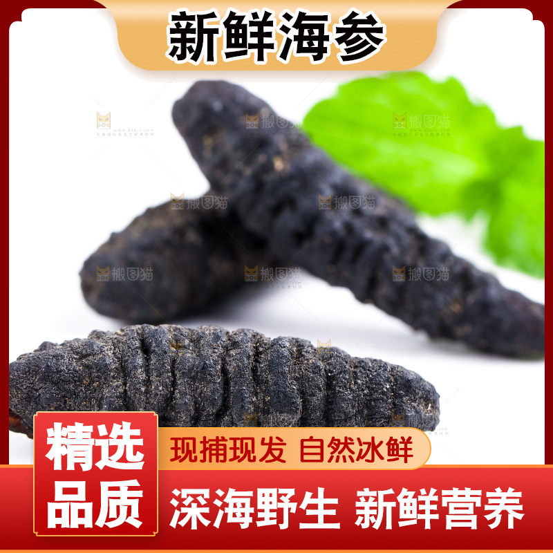 白底上摆放着大连刺参