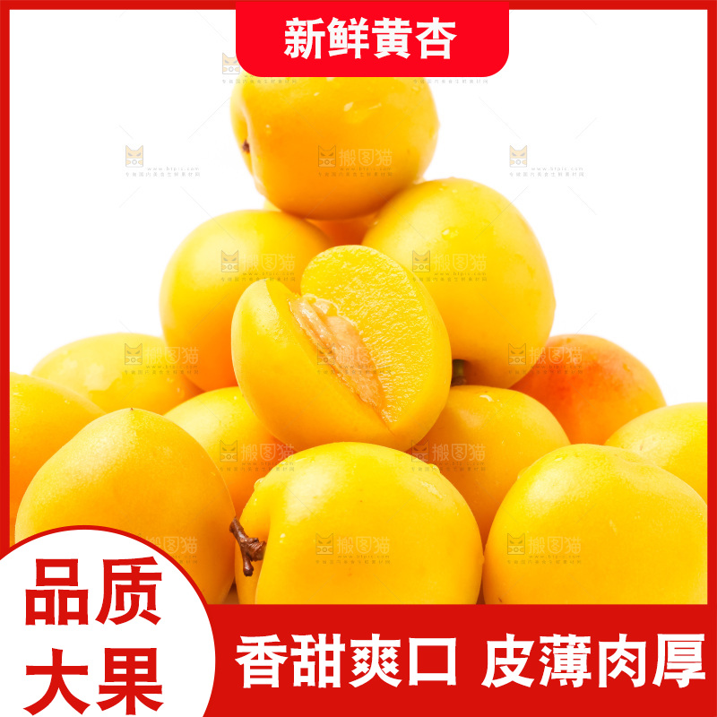 白底上放着大黄杏