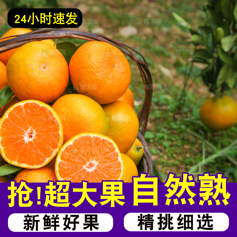 篮子里的新鲜橘子