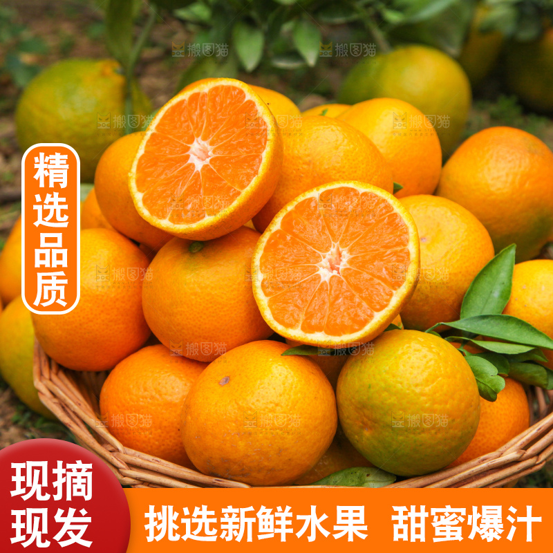 篮子里装着橘子