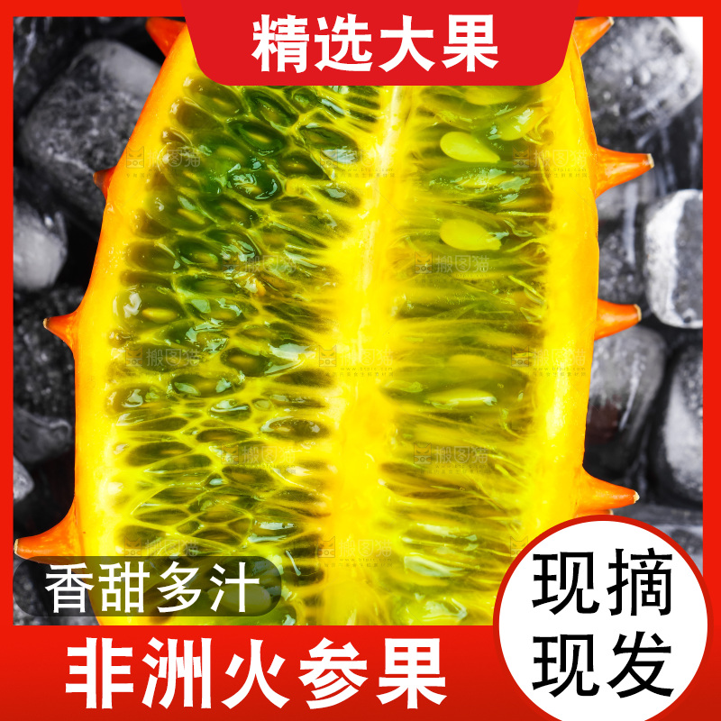 冰块上摆放着刺角瓜