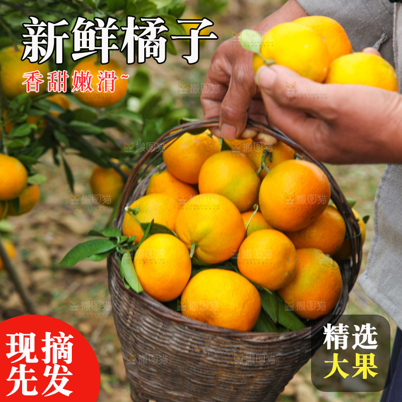 篮子里装着橘子