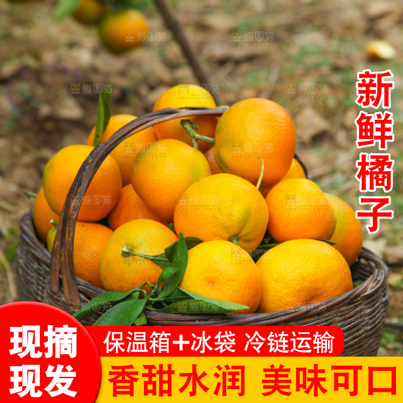 篮子里装着橘子