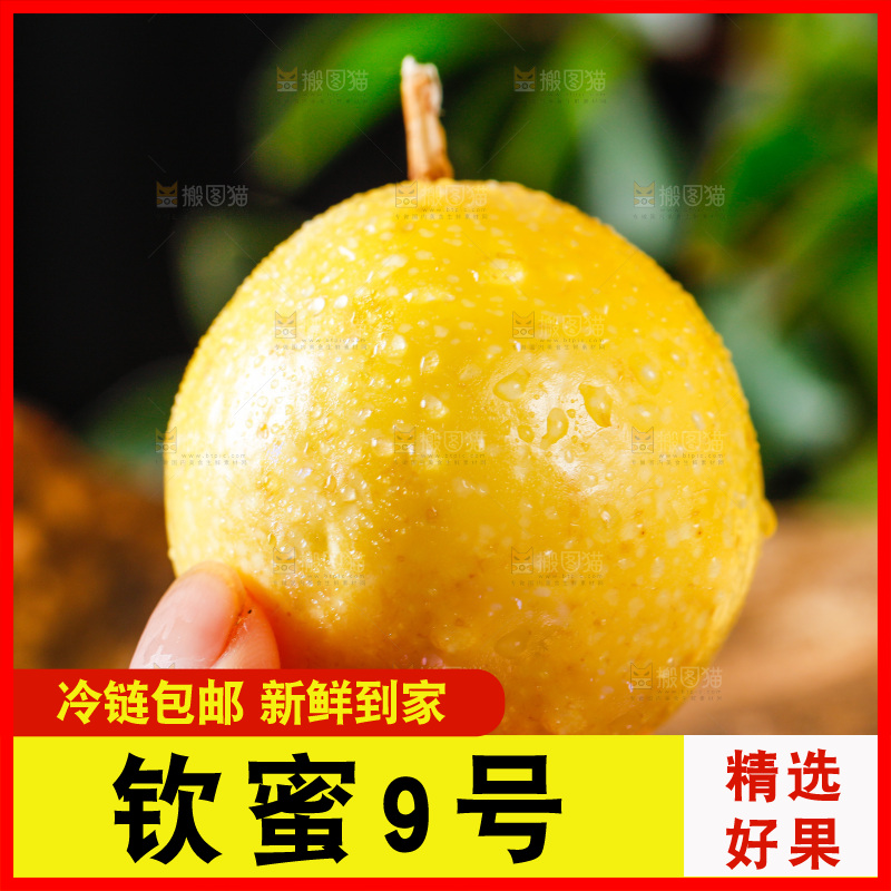 手里拿着黄金果