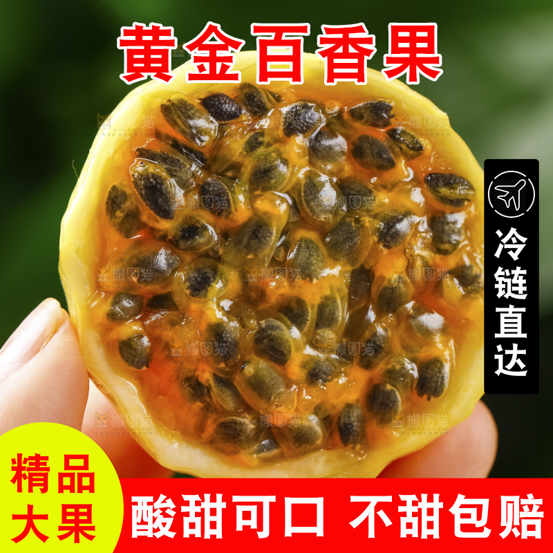 手里拿着黄金果