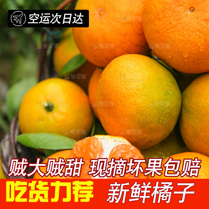 篮子里装着橘子