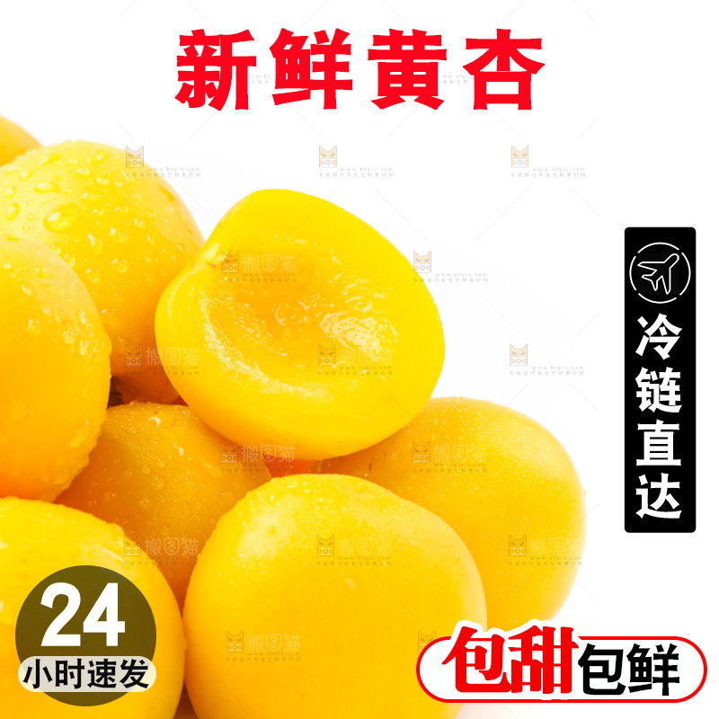白底上放着大黄杏