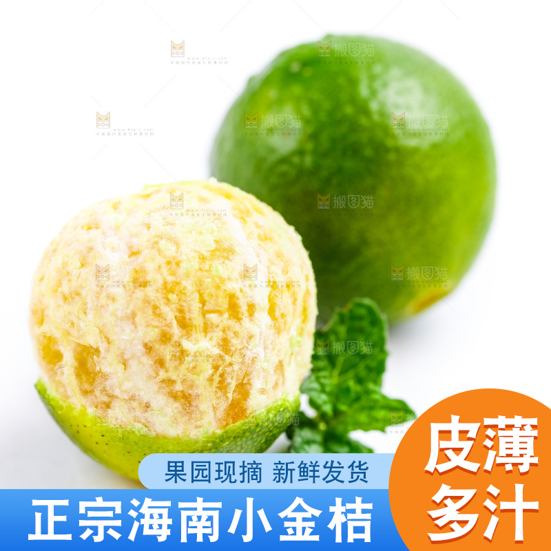 白底上摆放着小金桔