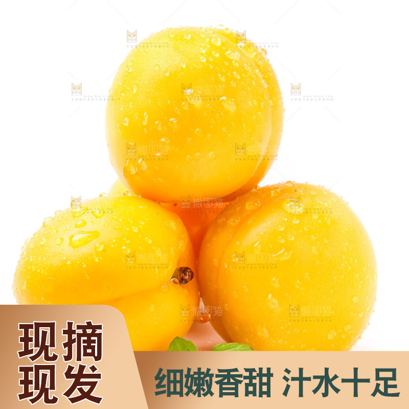 白底上摆放着麦黄杏