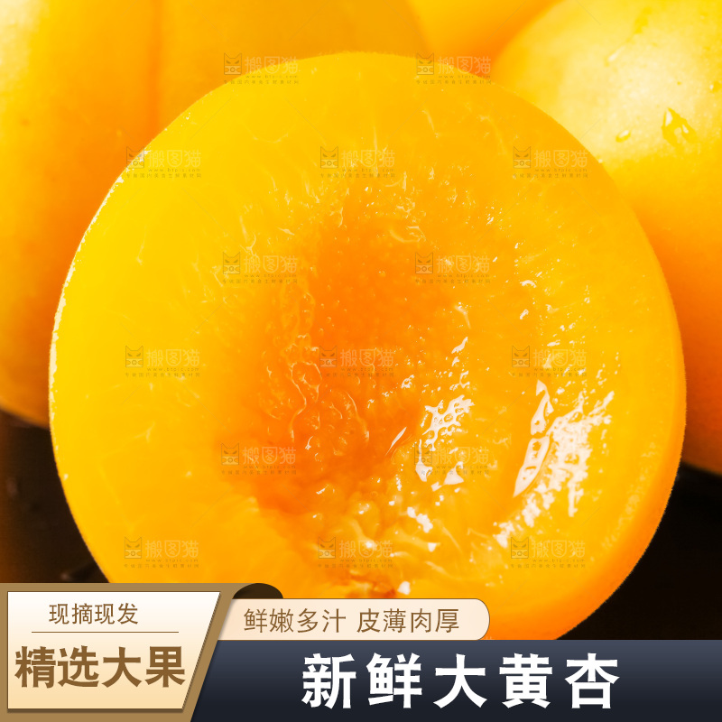黑底上摆放着新鲜麦黄杏