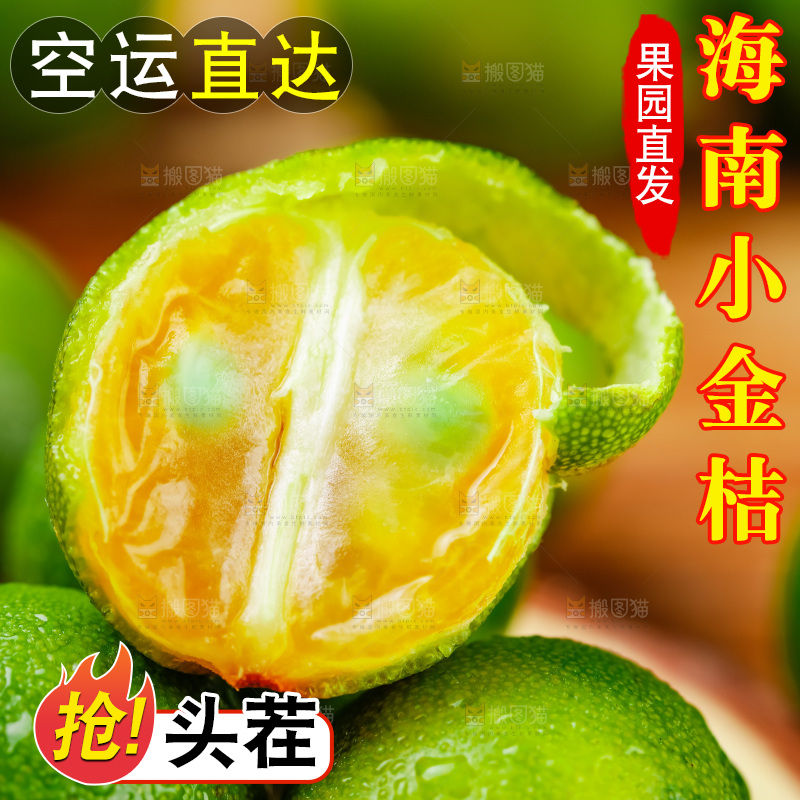 木底上摆放着海南小金桔