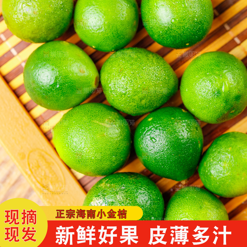 木底上摆放着海南小金桔