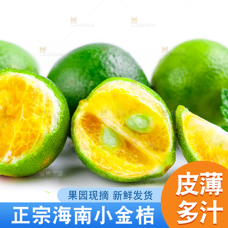 白底上摆放着小金桔