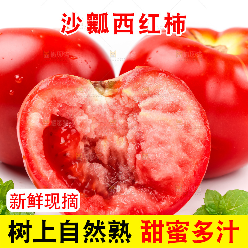 白底上的西红柿