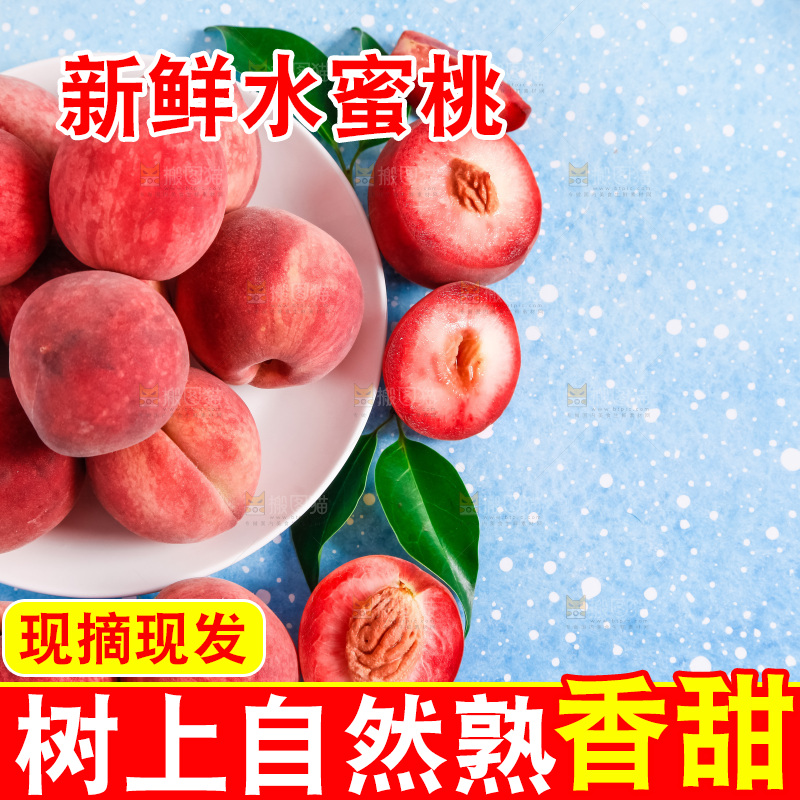 浅底上摆放着春雪水蜜桃