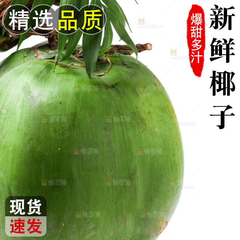 白底摆放着椰子
