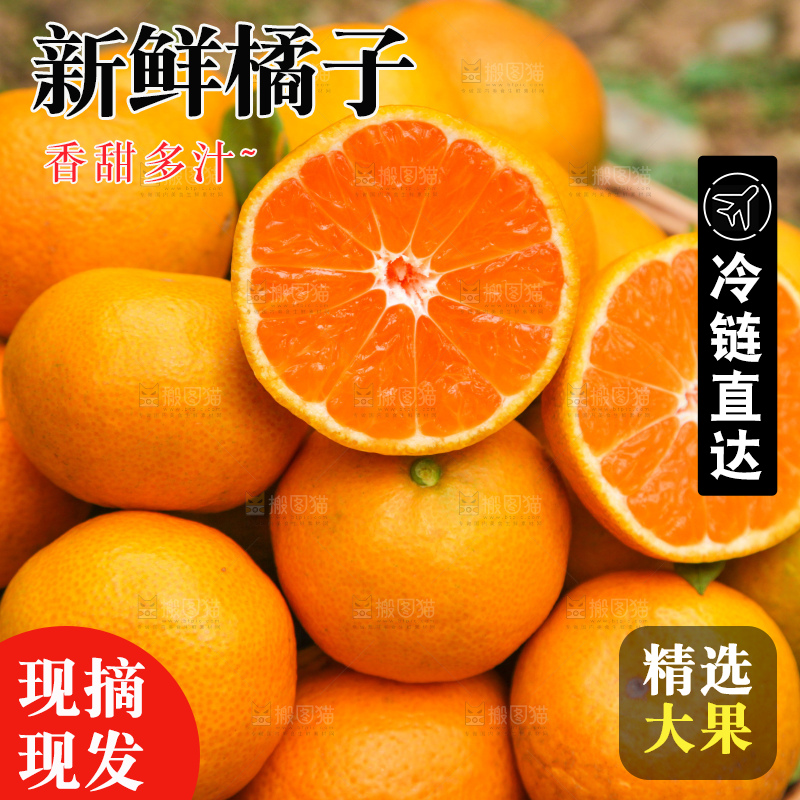 篮子里装着橘子