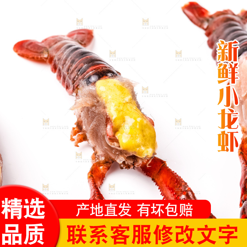 白底上摆放着龙虾